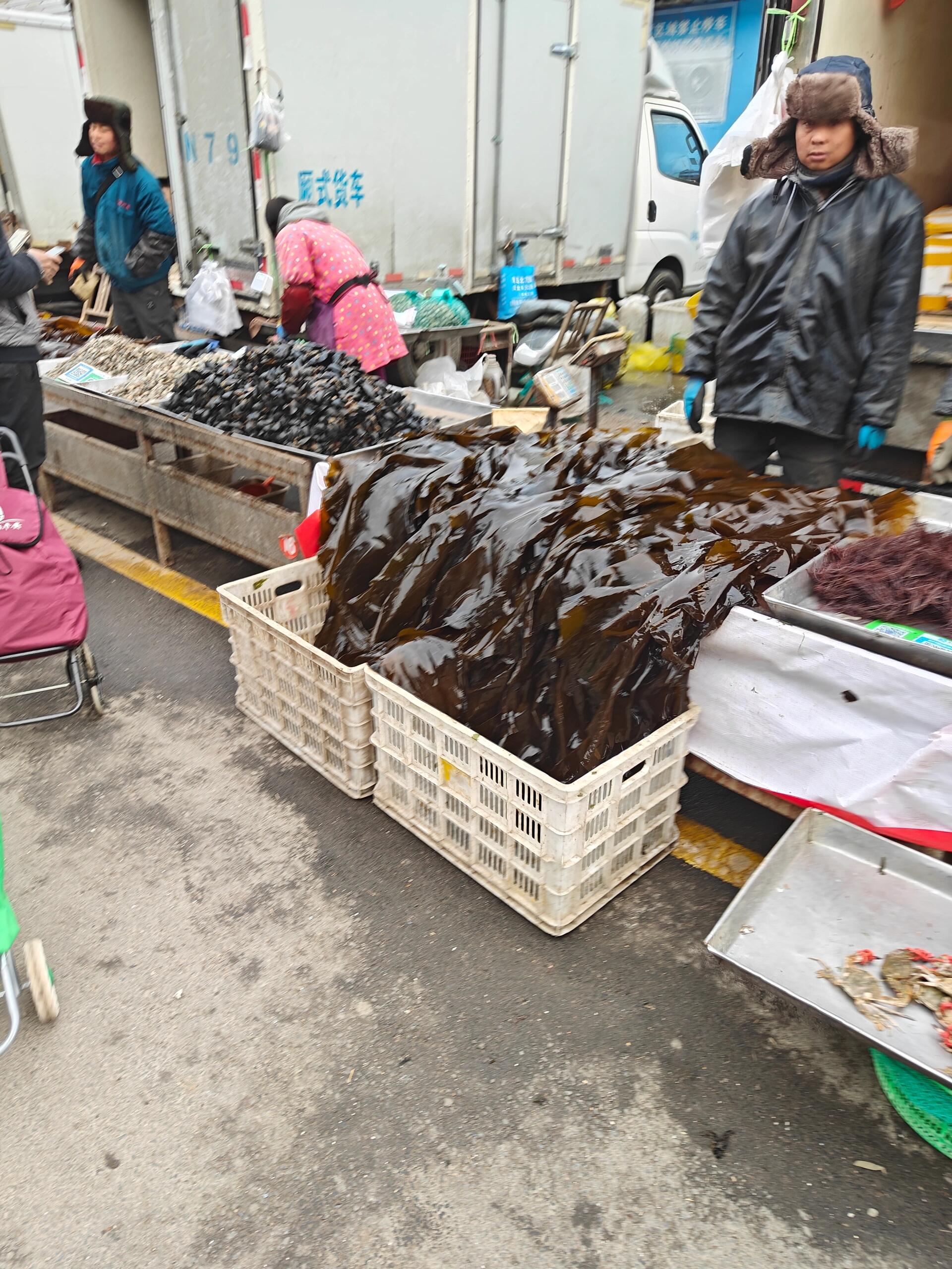 華中蔬菜批發市場 區域食用農產品流通的重要樞紐