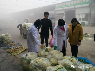 嚴把食用農產品入市關，確保群眾“菜籃子”安全